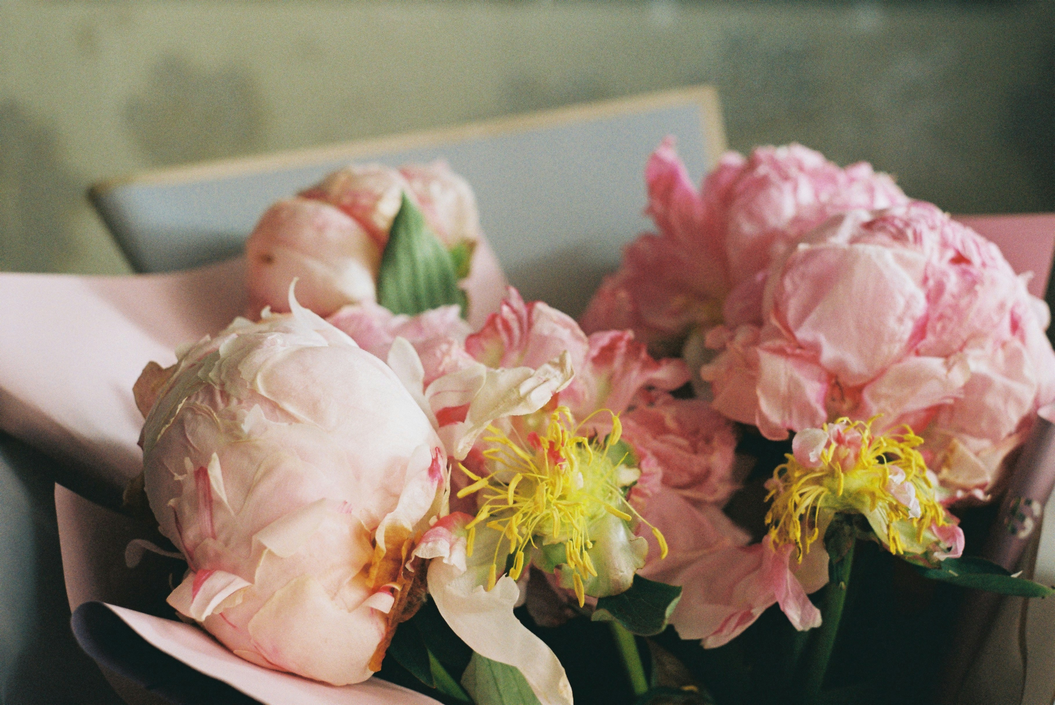 Photo by maslina_karina