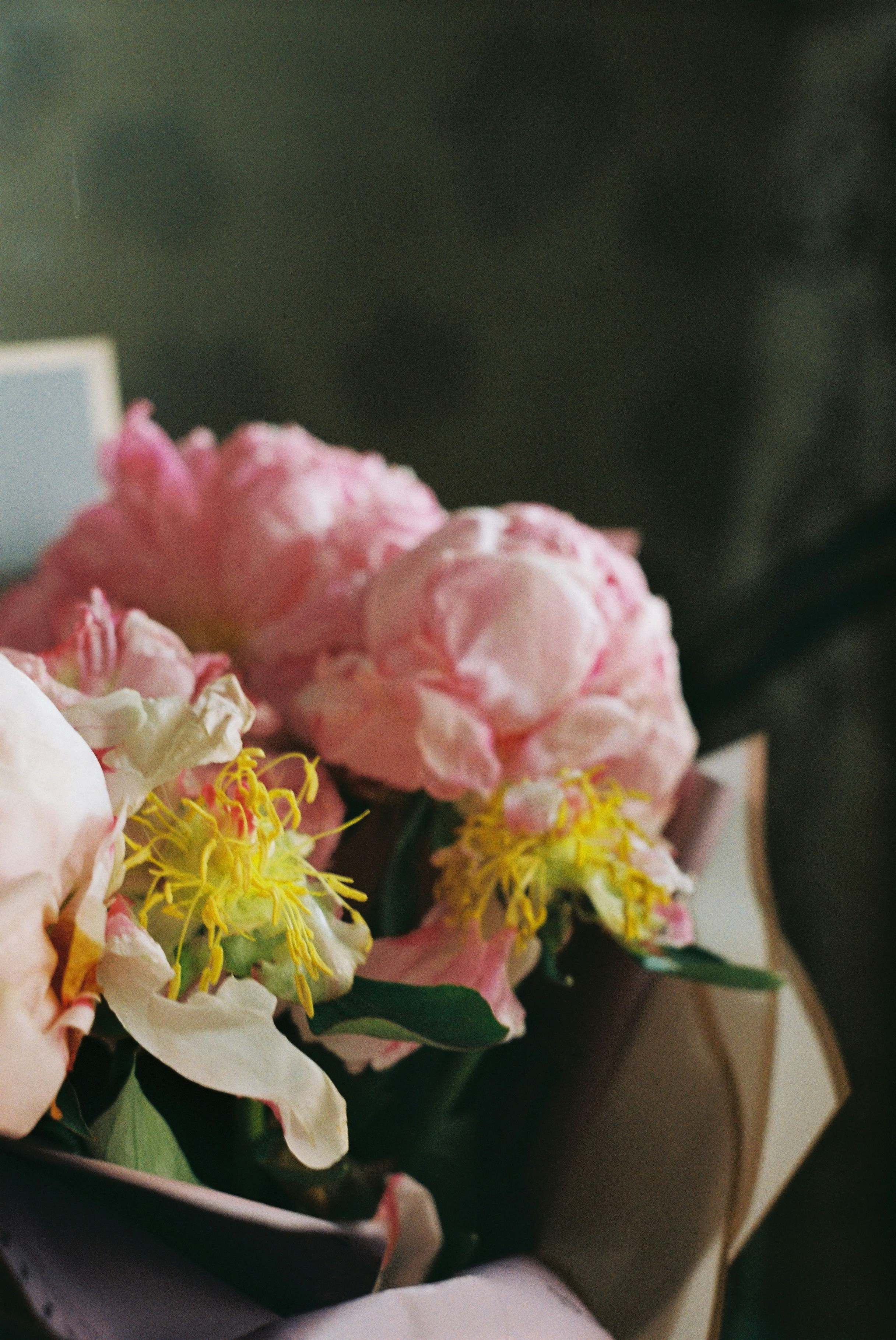 Photo by maslina_karina