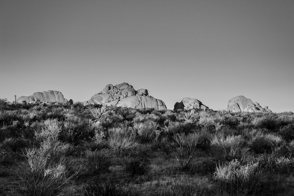 grayscale photo of rock formation