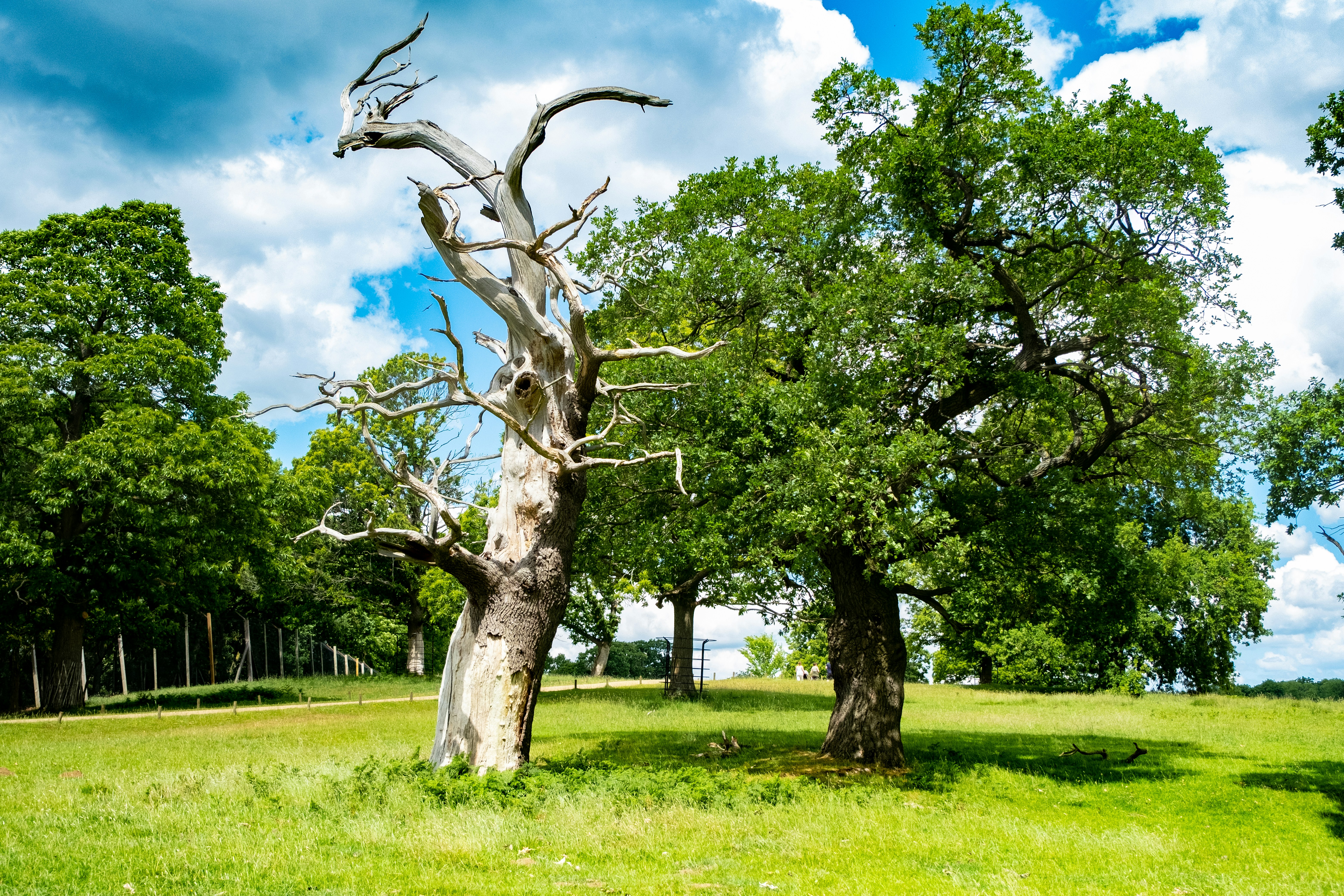 Photo by _twistedplot