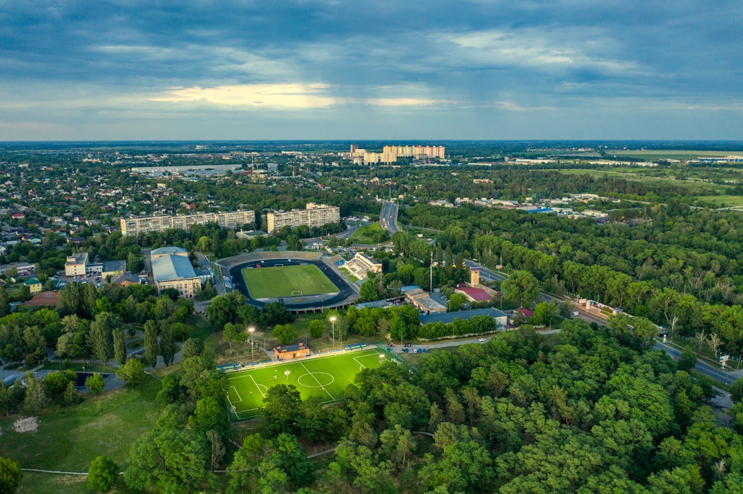 aerial view of green trees and city during daytime