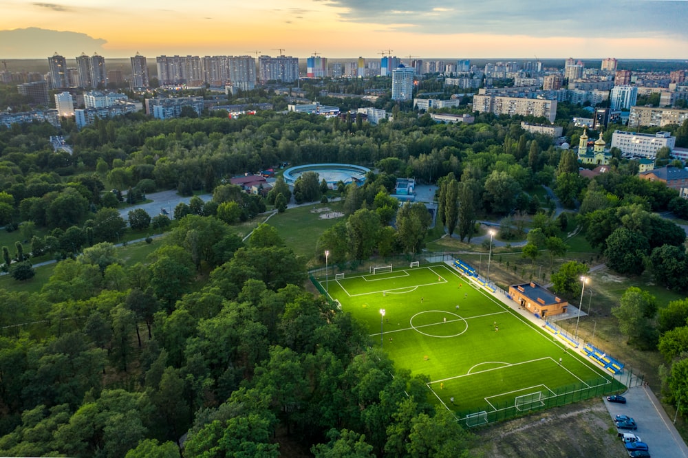 aerial view of green trees and green grass field during daytime