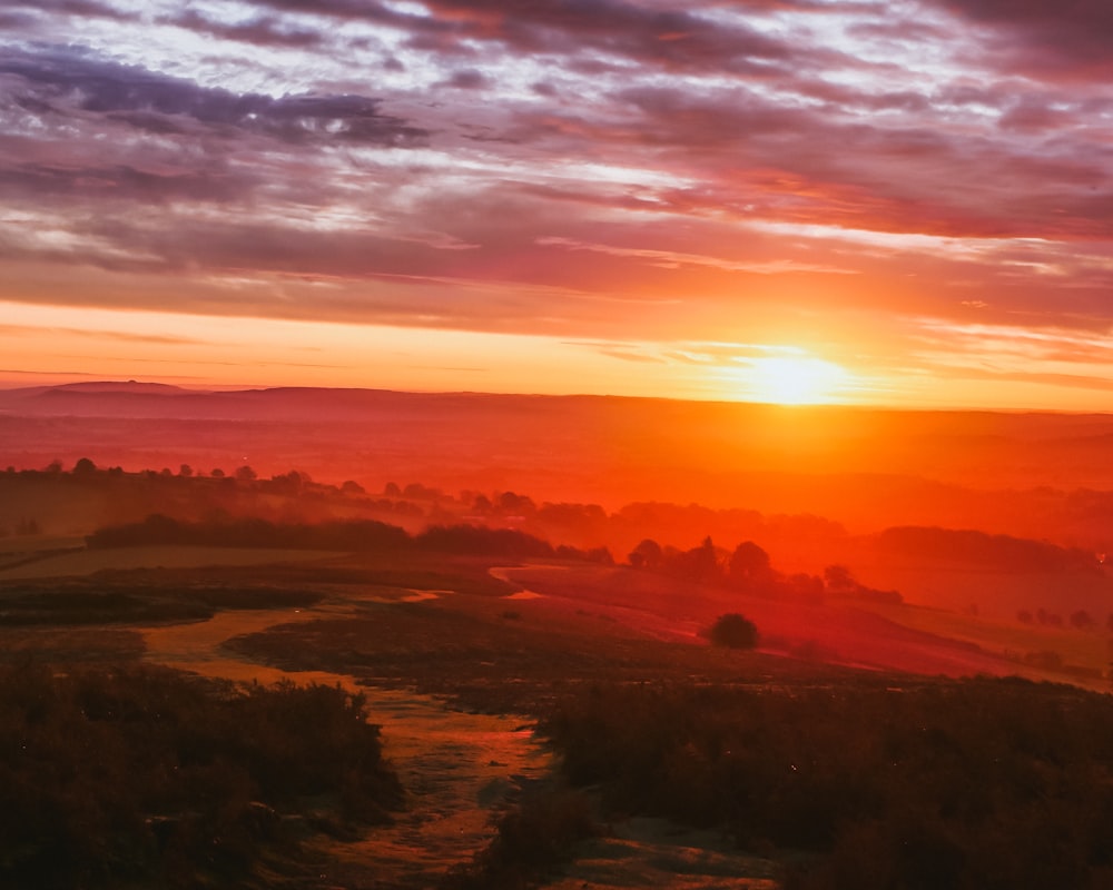 árboles verdes bajo el cielo naranja durante la puesta del sol