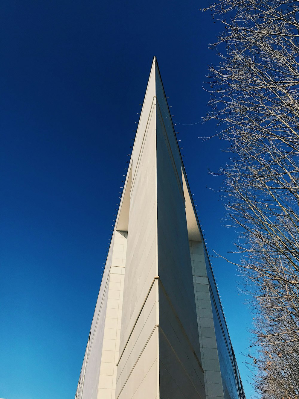 white concrete building near bare tree under blue sky during daytime