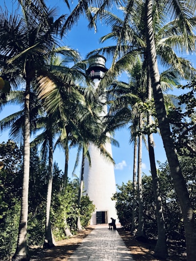 Biscayne Bay