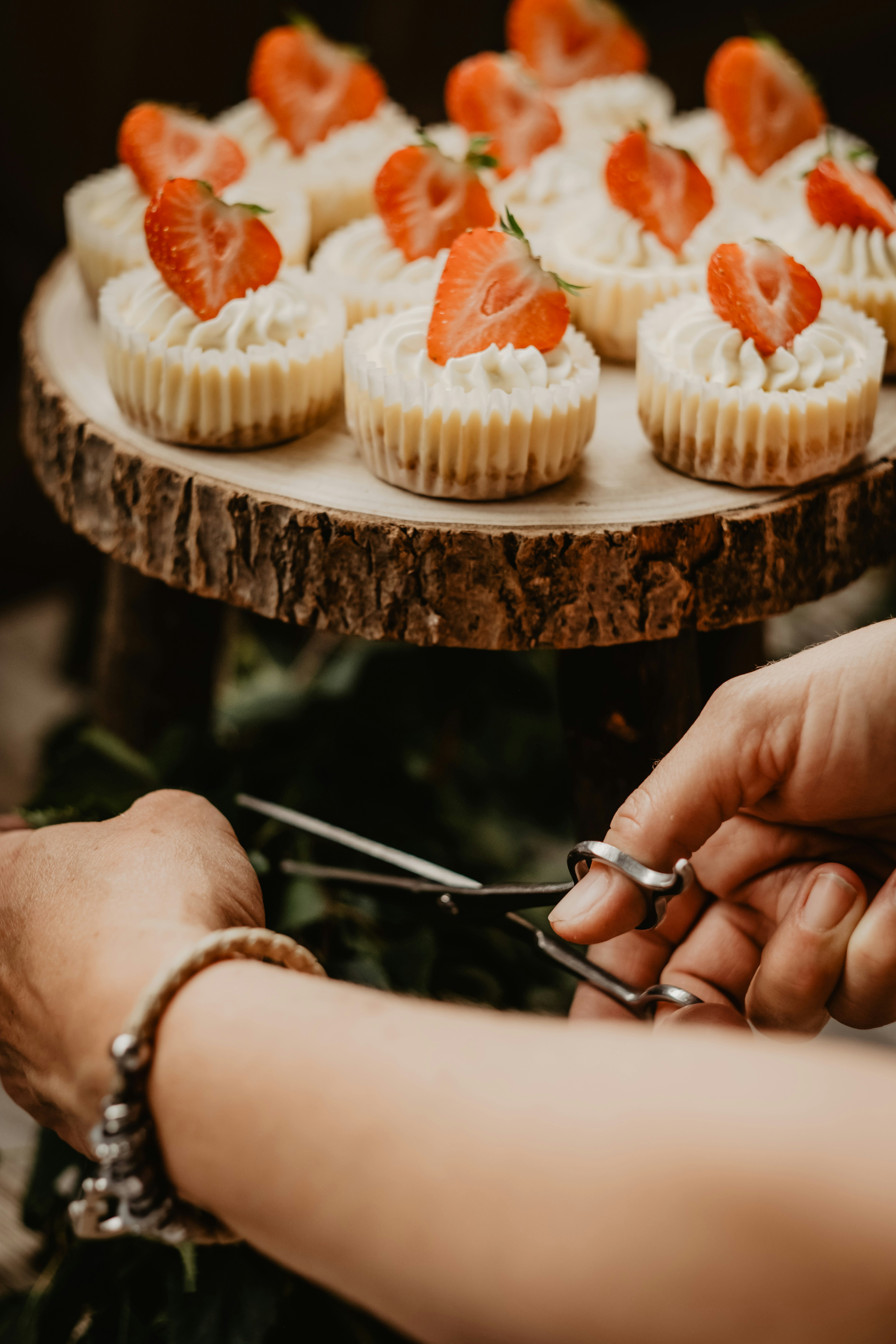 Photo by victoriapriessnitz