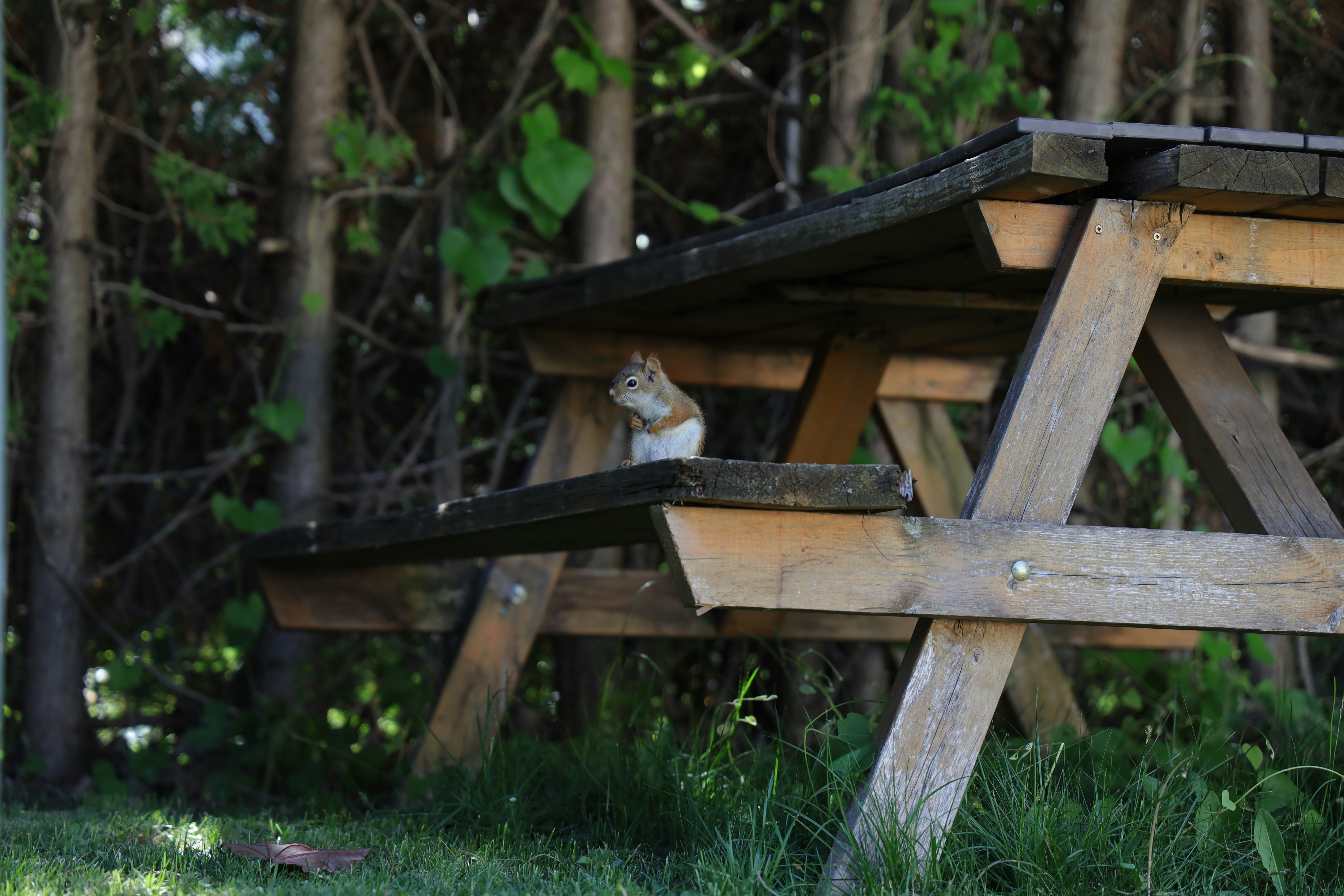 Photo by richardworks