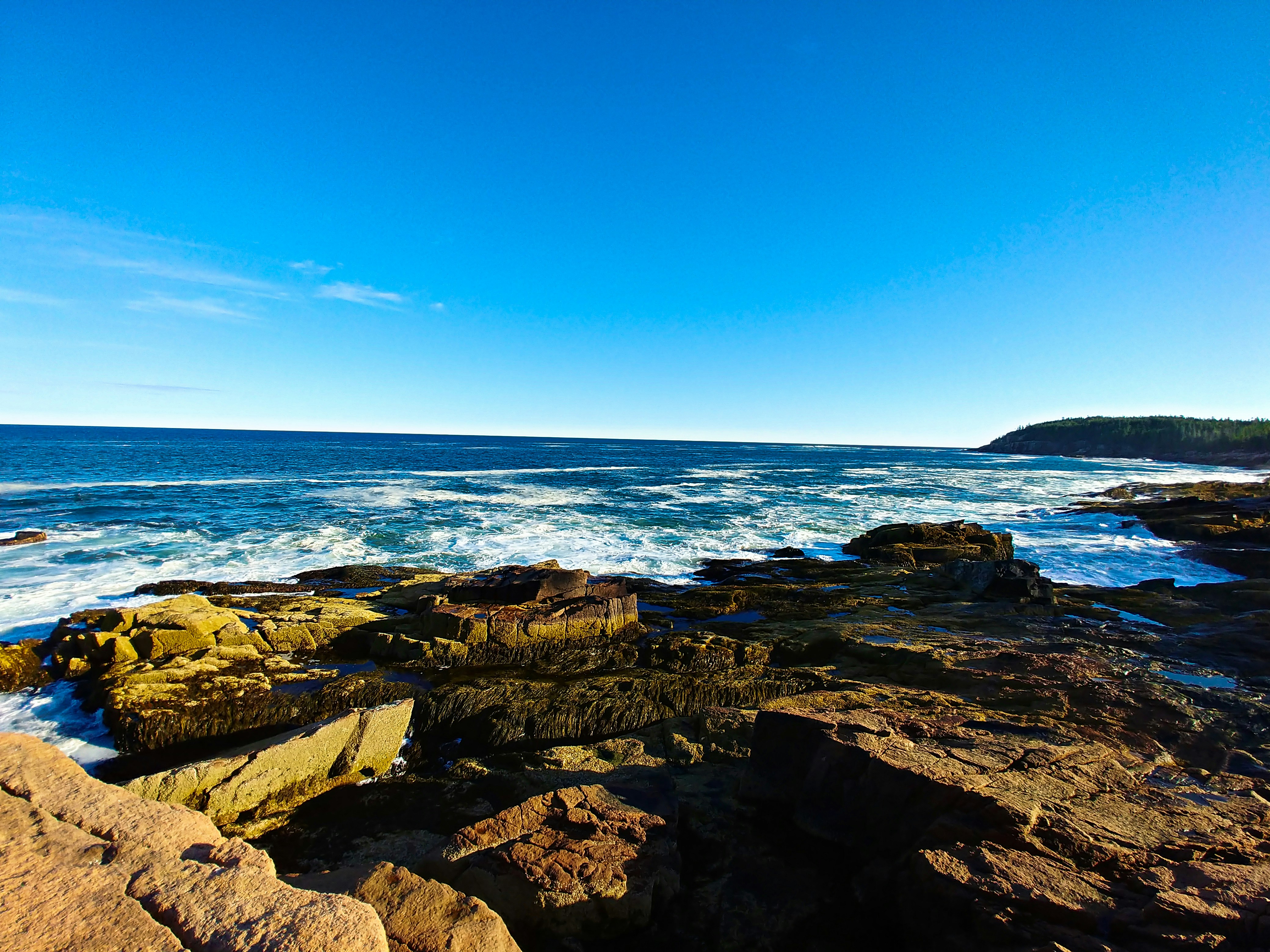 Photo by meditatingdragon