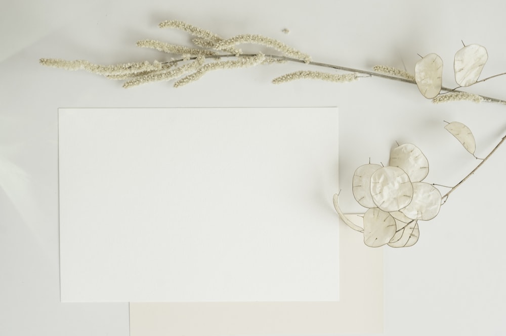 textile floral blanc et or
