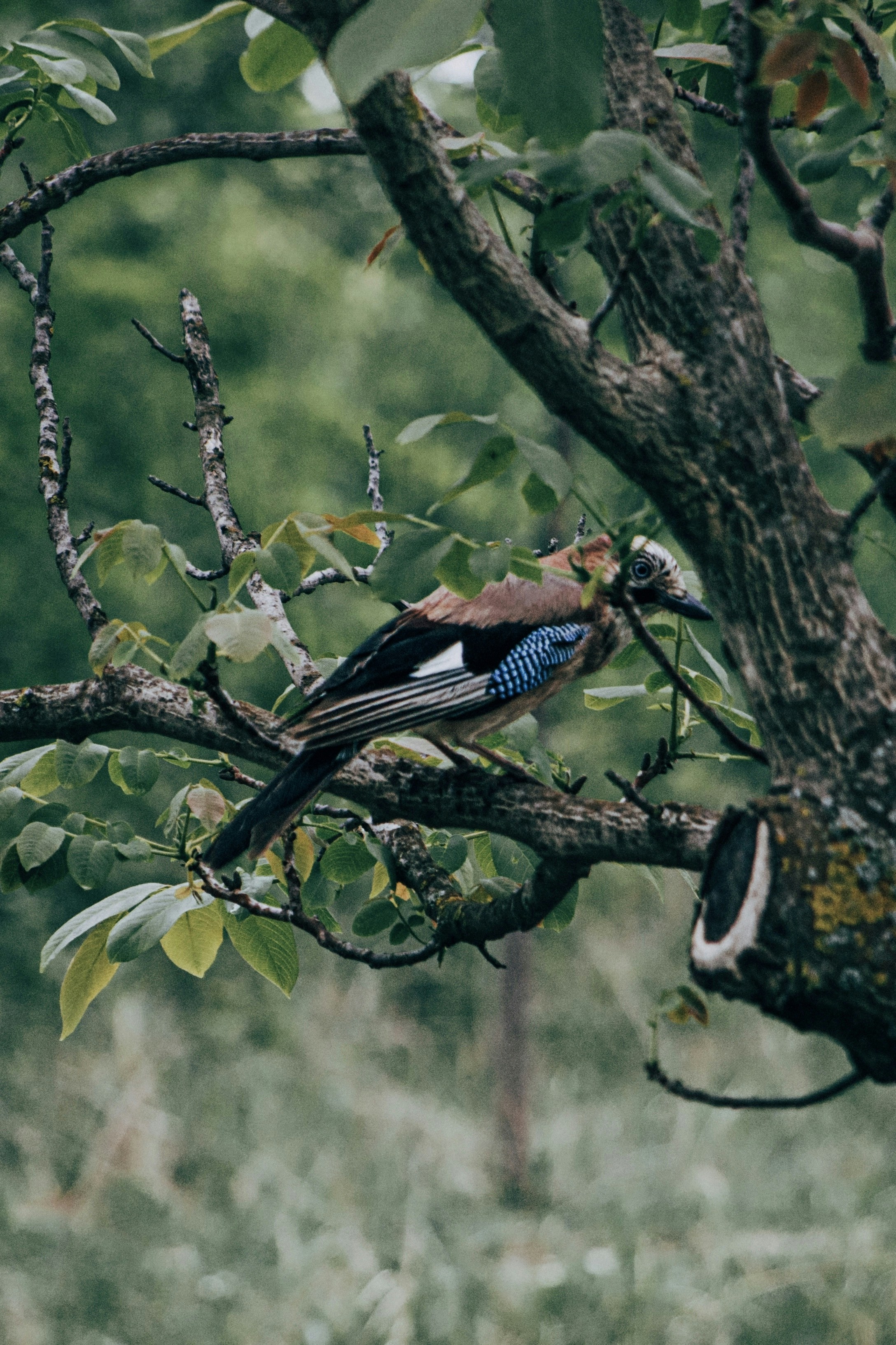 Photo by dentrushtin