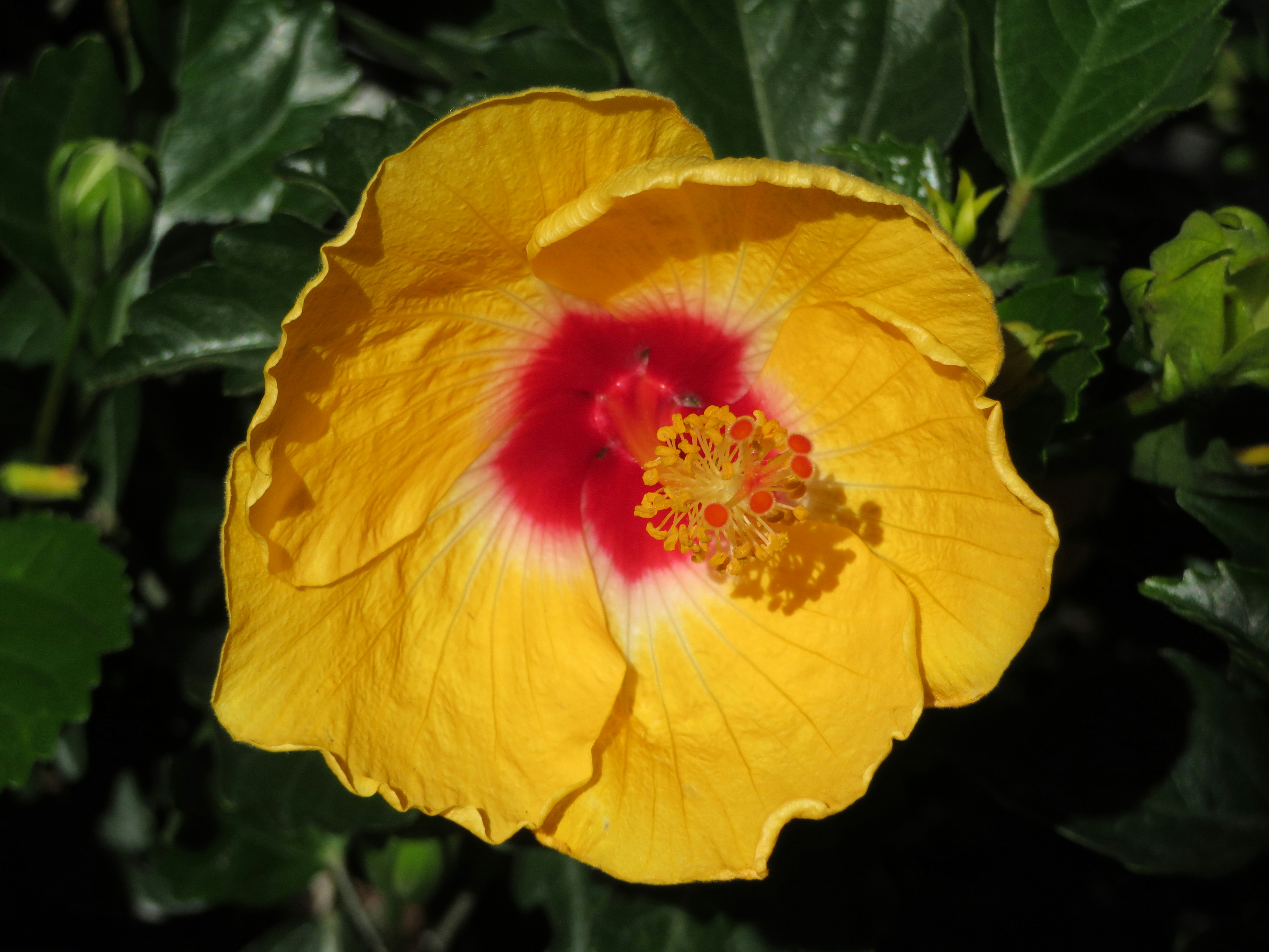 Photo by marcie_kennedy