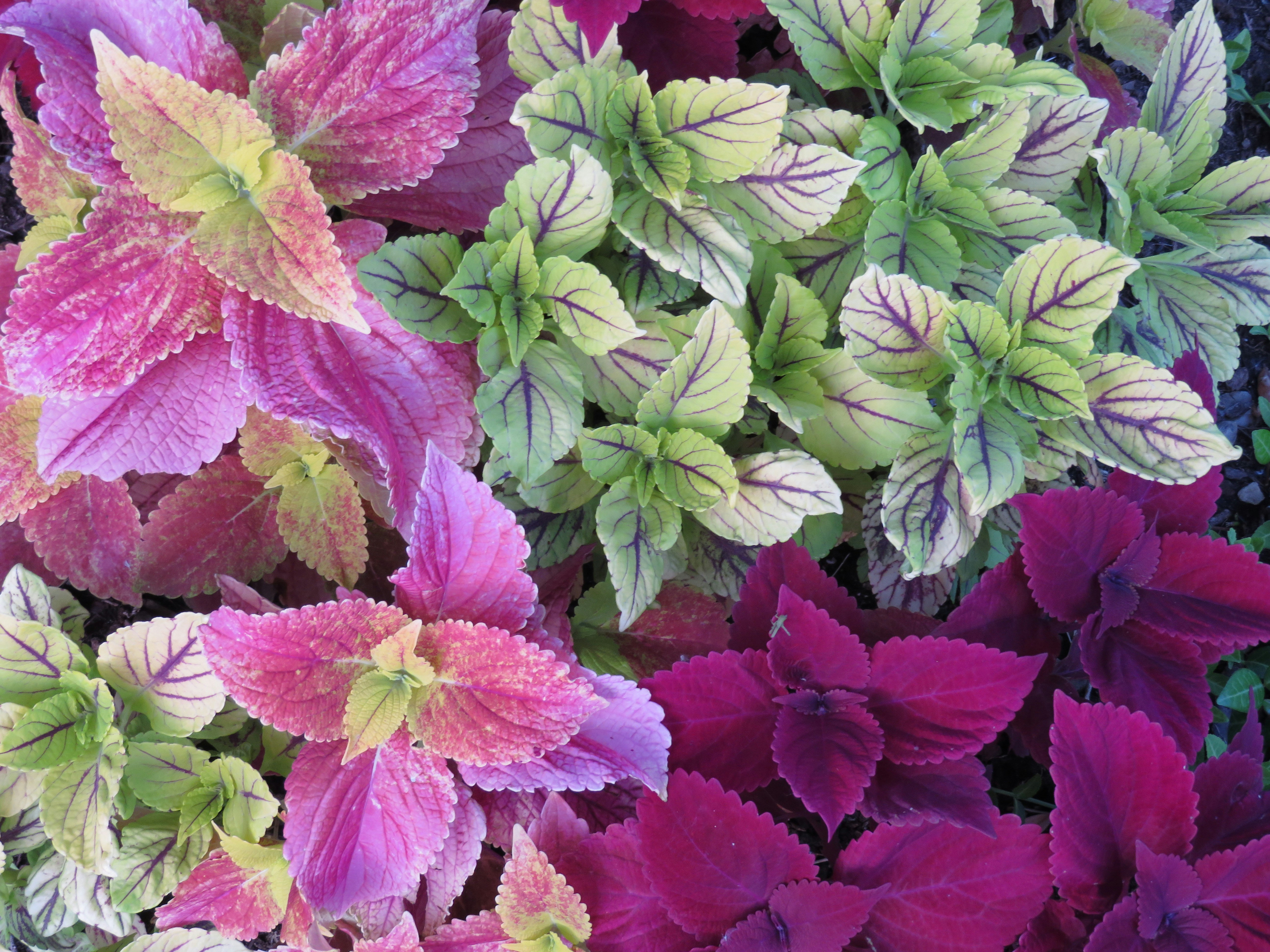 Photo by marcie_kennedy