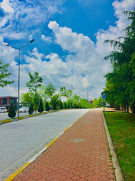 A peaceful street in Domont with clean sidewalks and green trees lining the road.