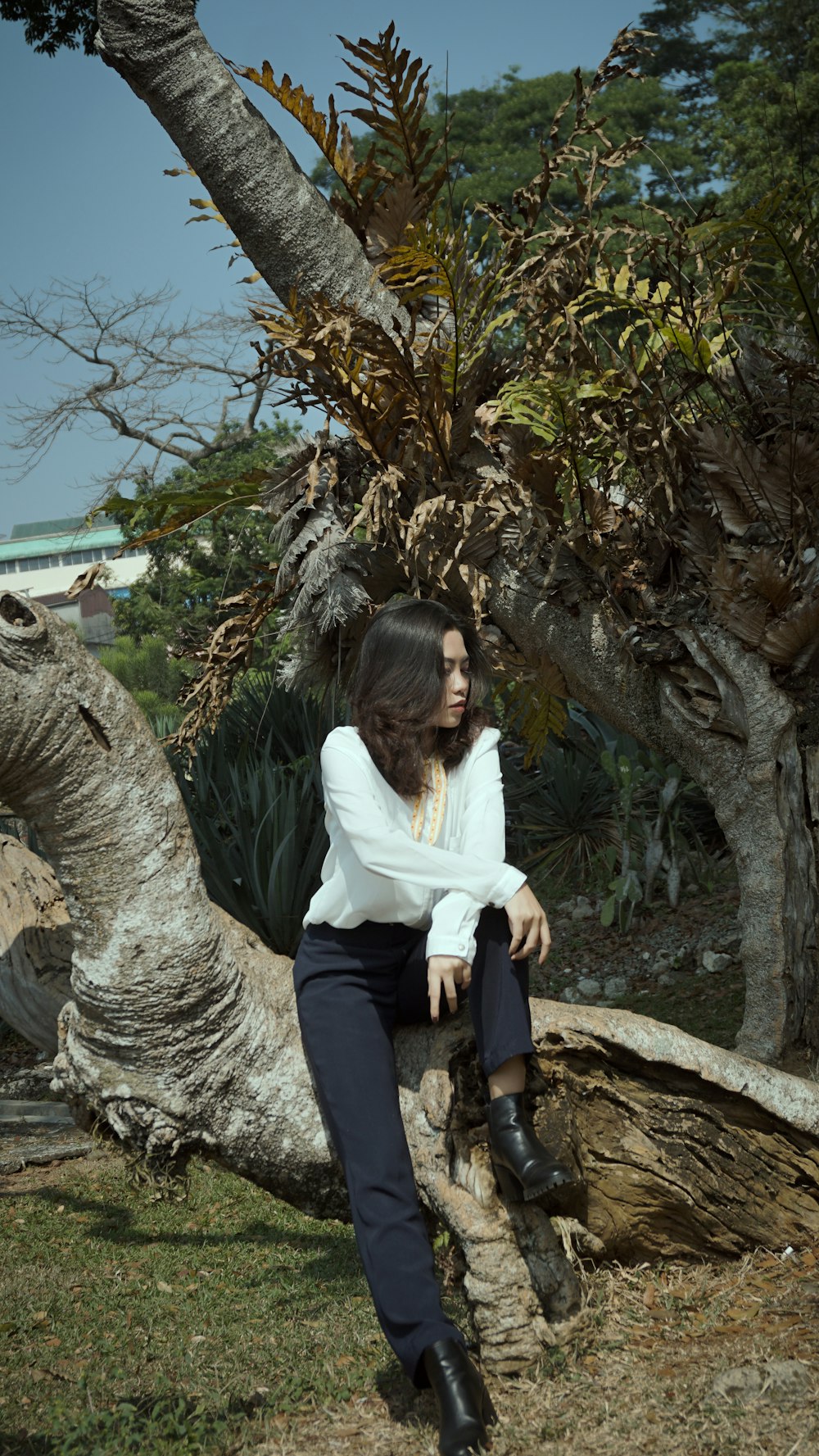 a woman is sitting on a tree branch