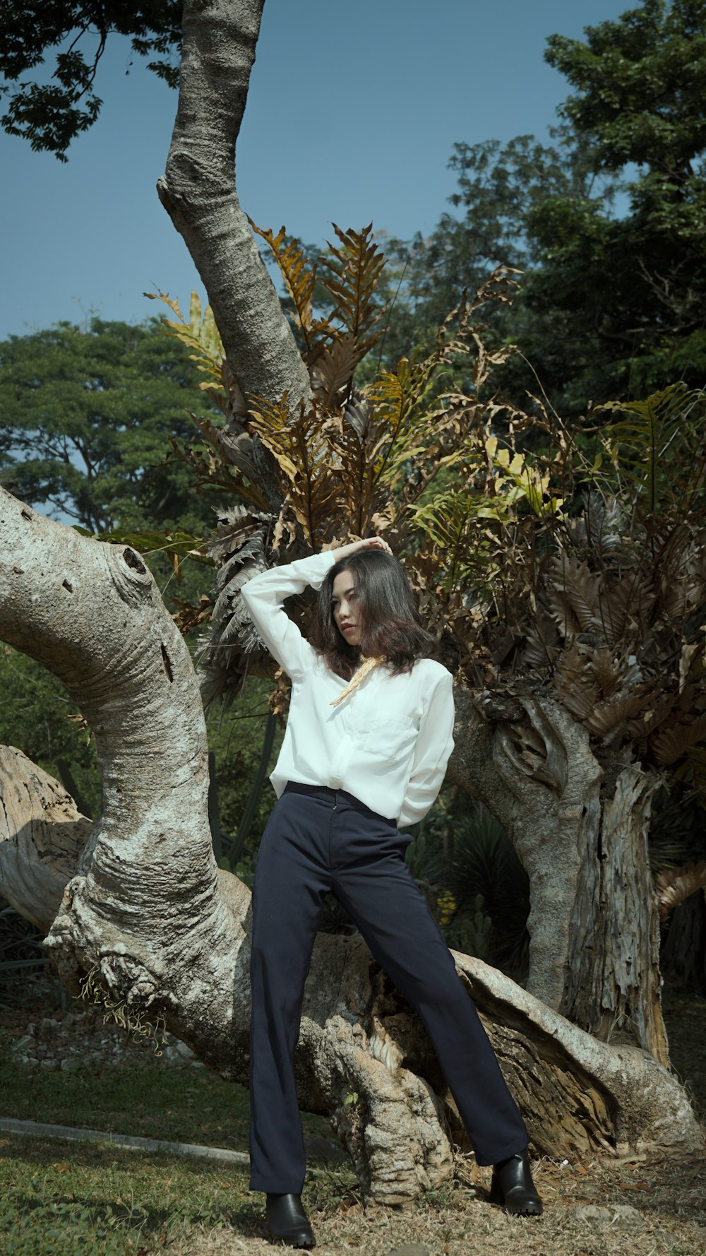 woman in white long sleeve shirt and blue pants standing beside brown tree during daytime