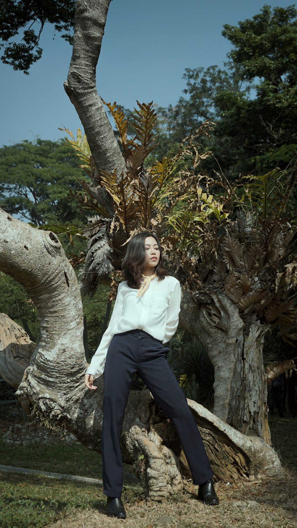 woman in white long sleeve shirt and black pants sitting on tree branch during daytime