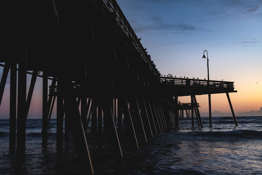 brown wooden dock on sea during daytime