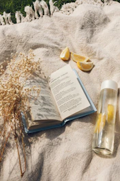 A serene outdoor scene with a novel resting on a picnic blanket.