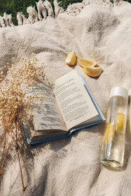 A serene outdoor scene with a novel resting on a picnic blanket.