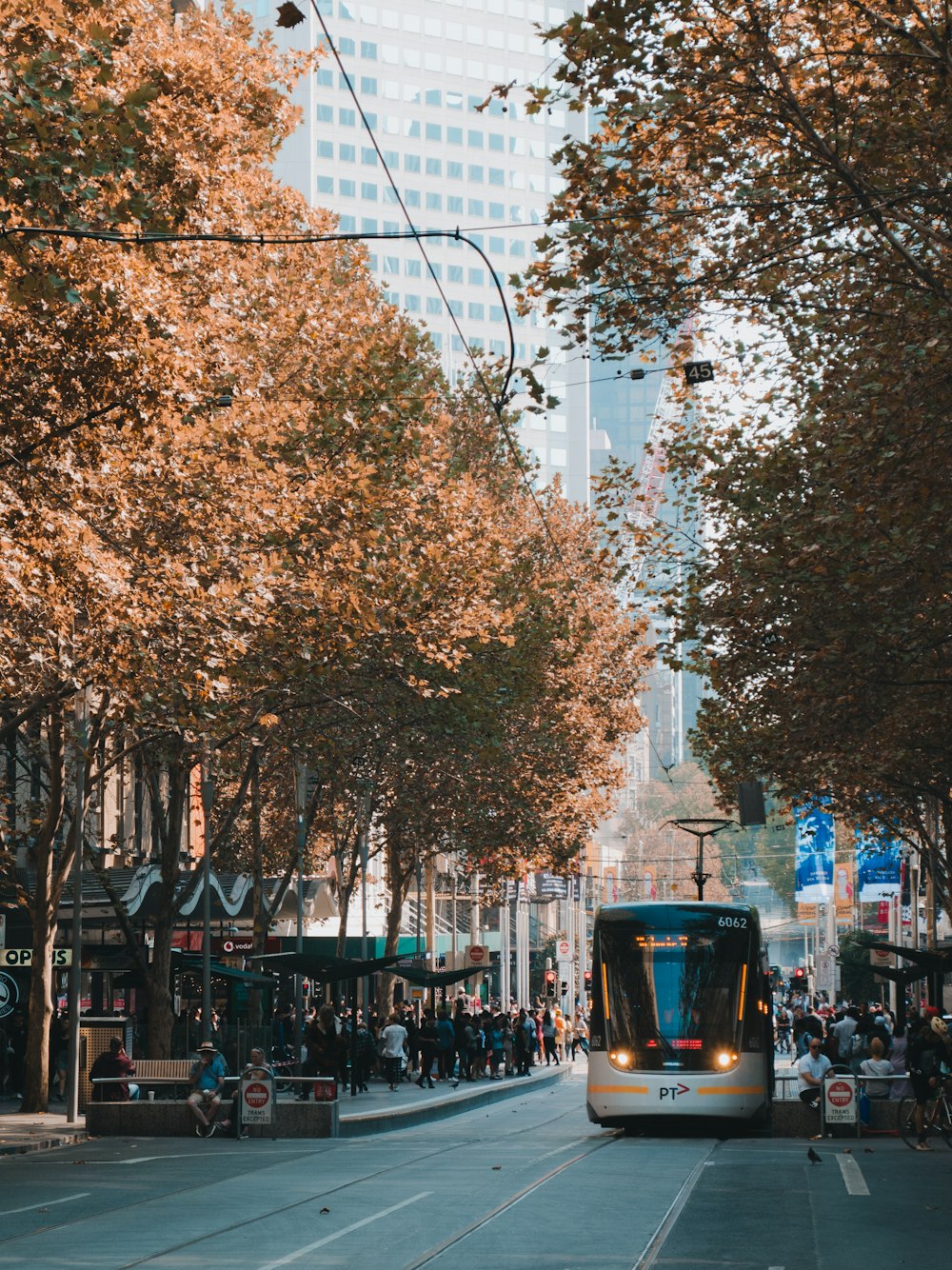 people walking on street during daytime