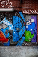 blue and green woman with green hair and green eyes graffiti