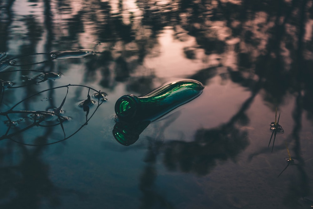 green glass bottle on water