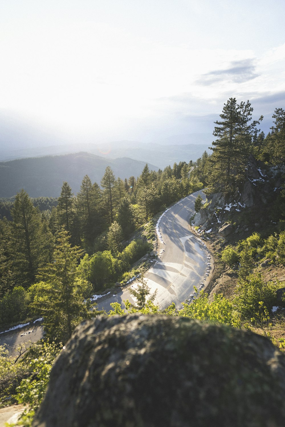 green pine trees on mountain during daytime