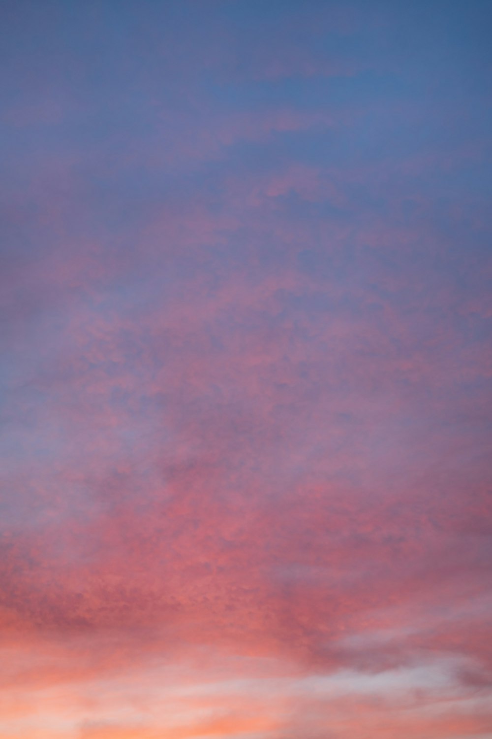 pink and blue cloudy sky