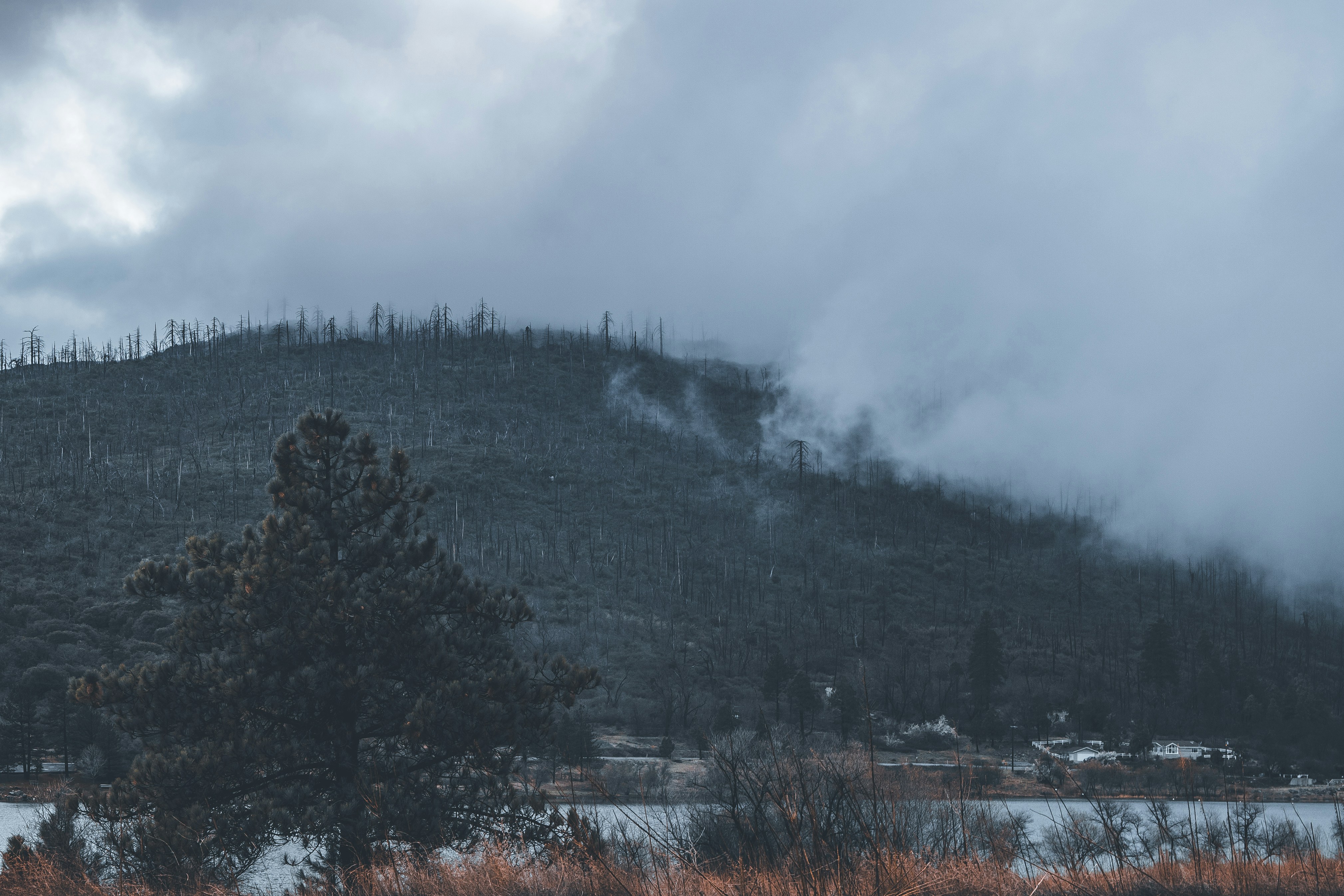 green trees on mountain under white clouds during daytime