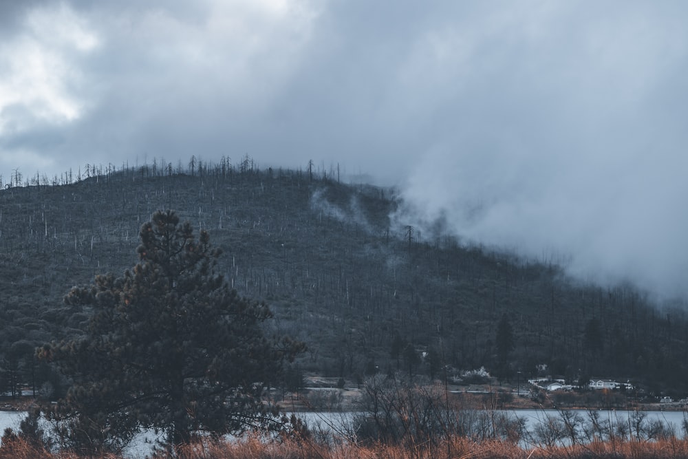 árvores verdes na montanha sob nuvens brancas durante o dia