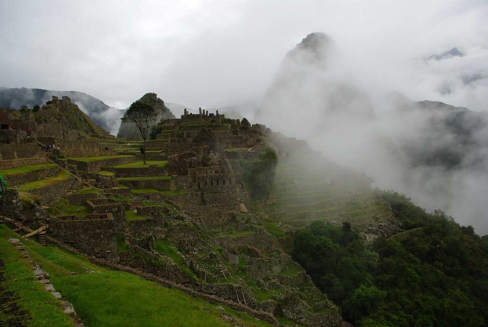 campo di erba verde vicino alla montagna sotto nuvole bianche durante il giorno