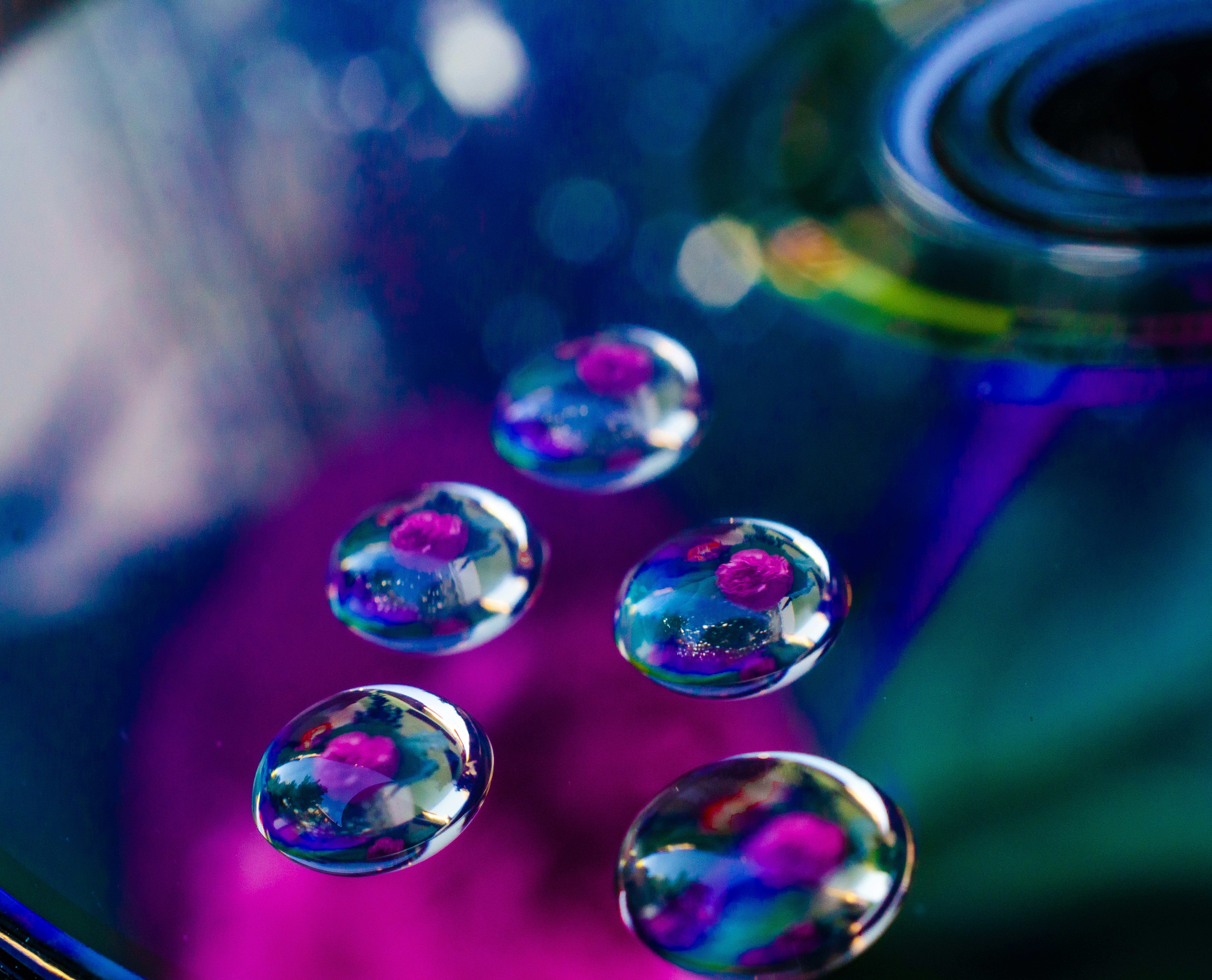 Photo by thrudeeslens