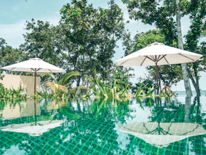 white and green outdoor umbrella near green trees during daytime