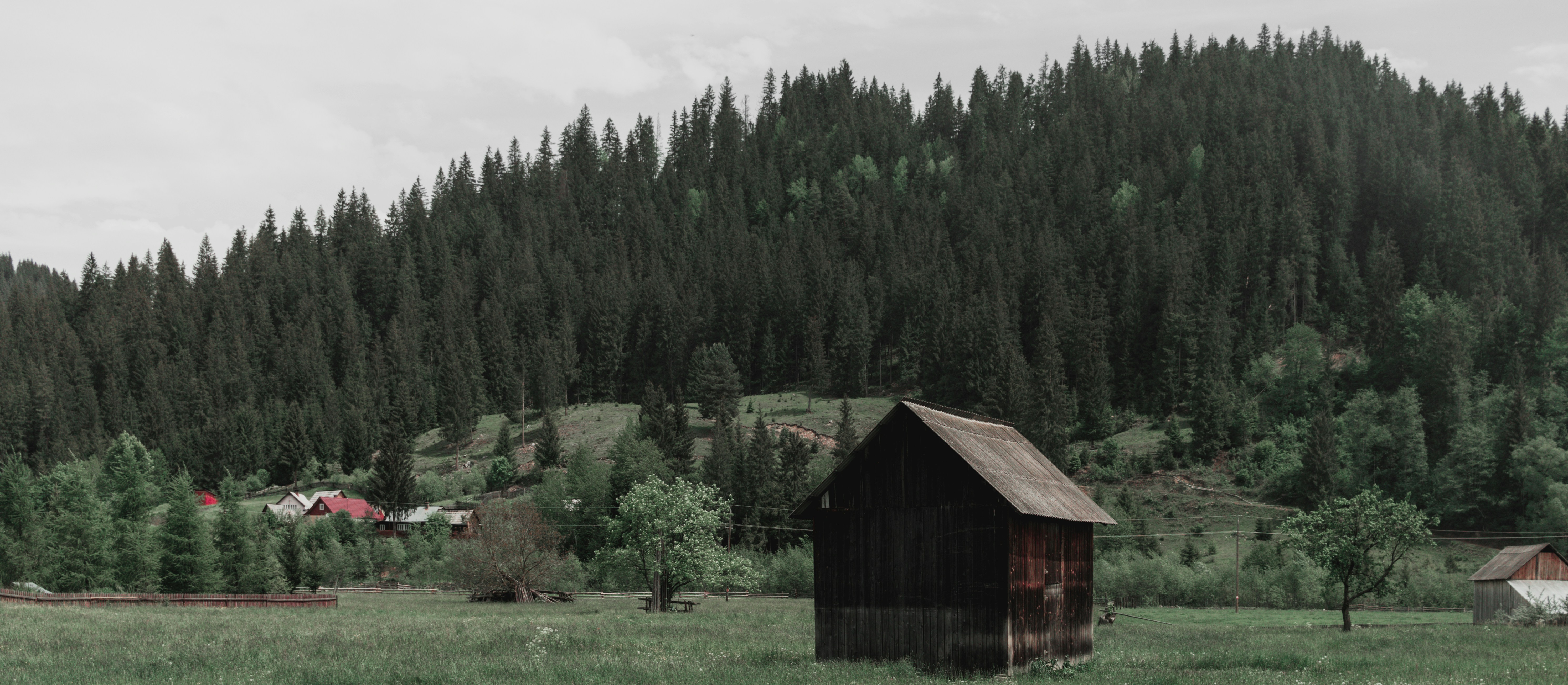 brown wooden house near green trees during daytime