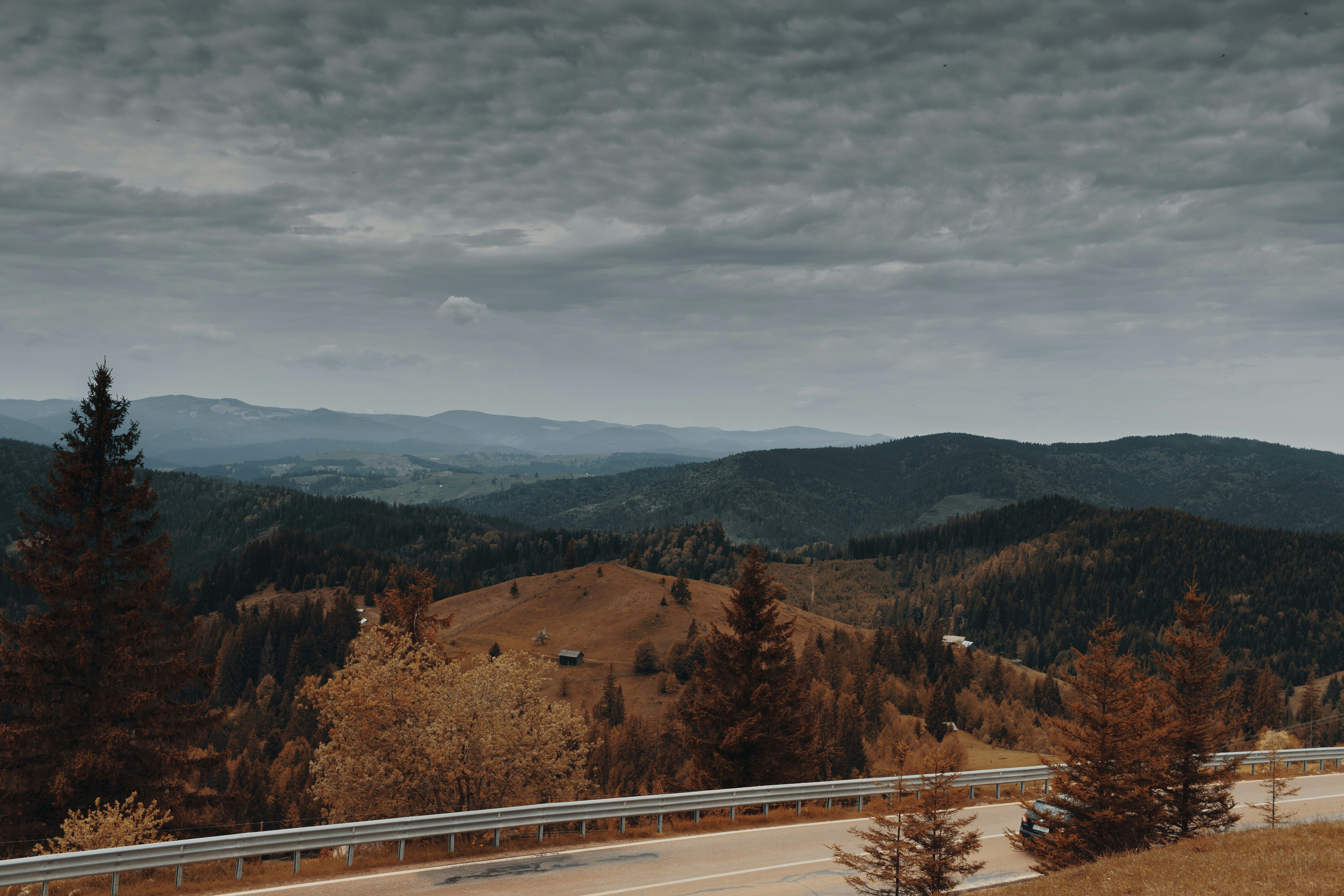 brown trees on brown mountain under gray sky