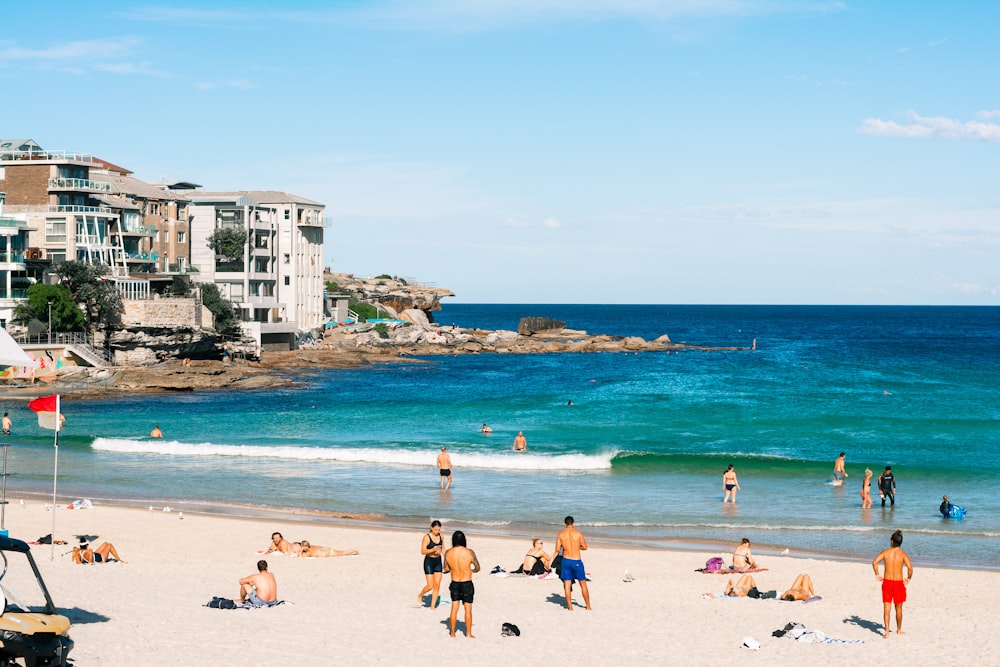 people on beach during daytime