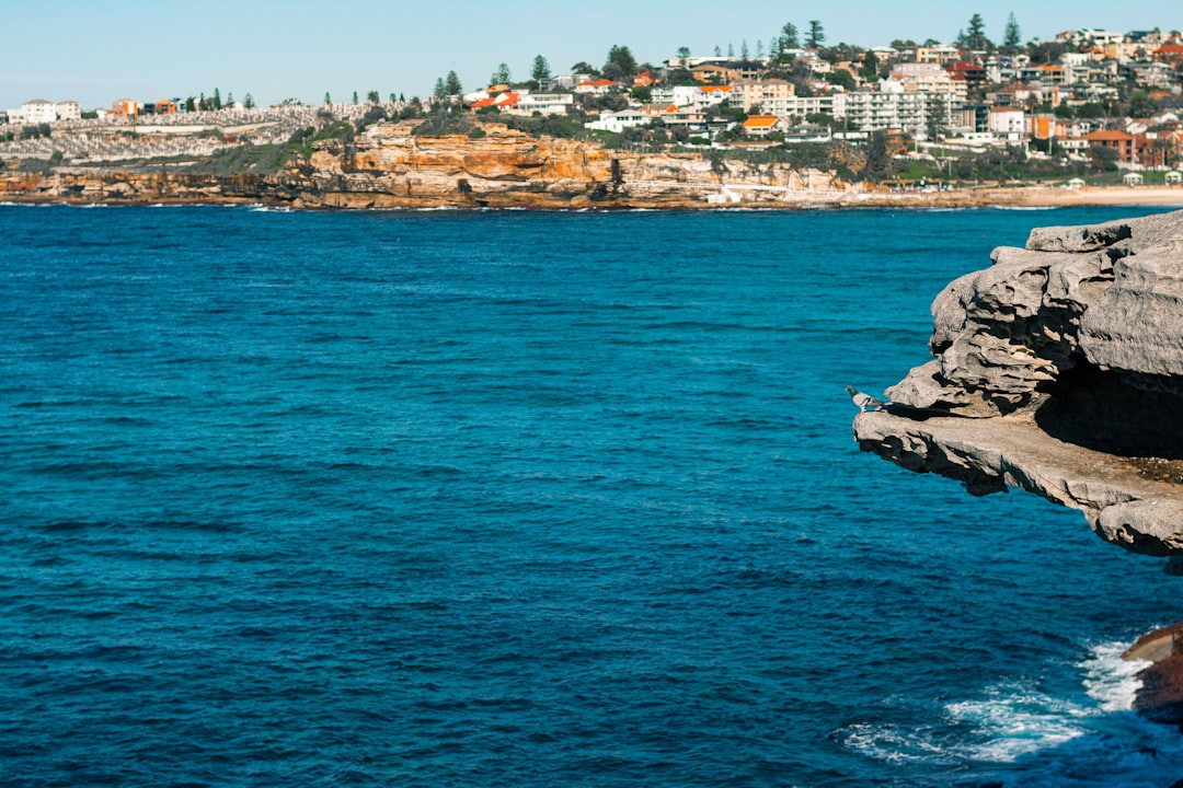 Coast photo spot Bondi Beach Sea Cliff Bridge