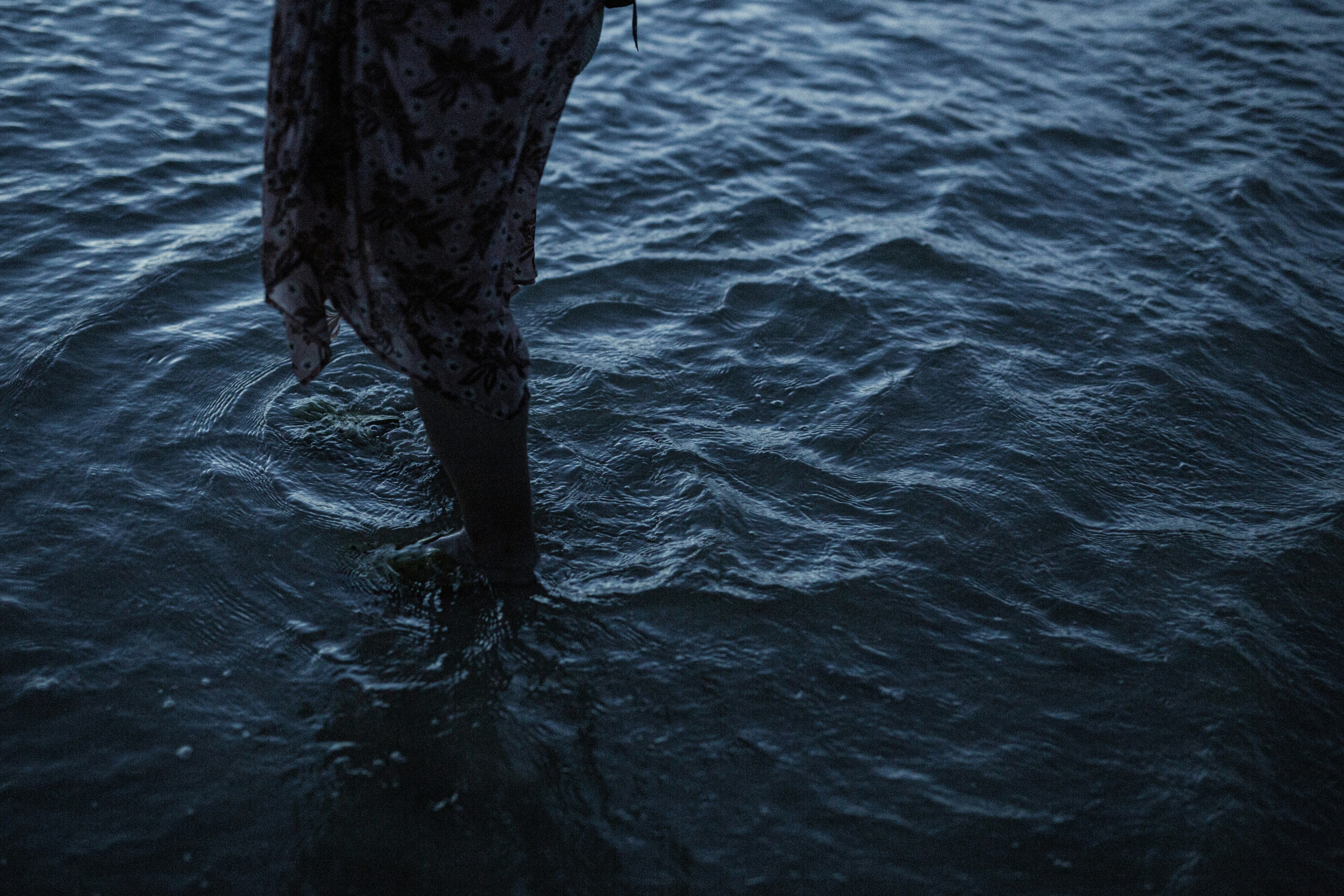 Photo by vinomamba24