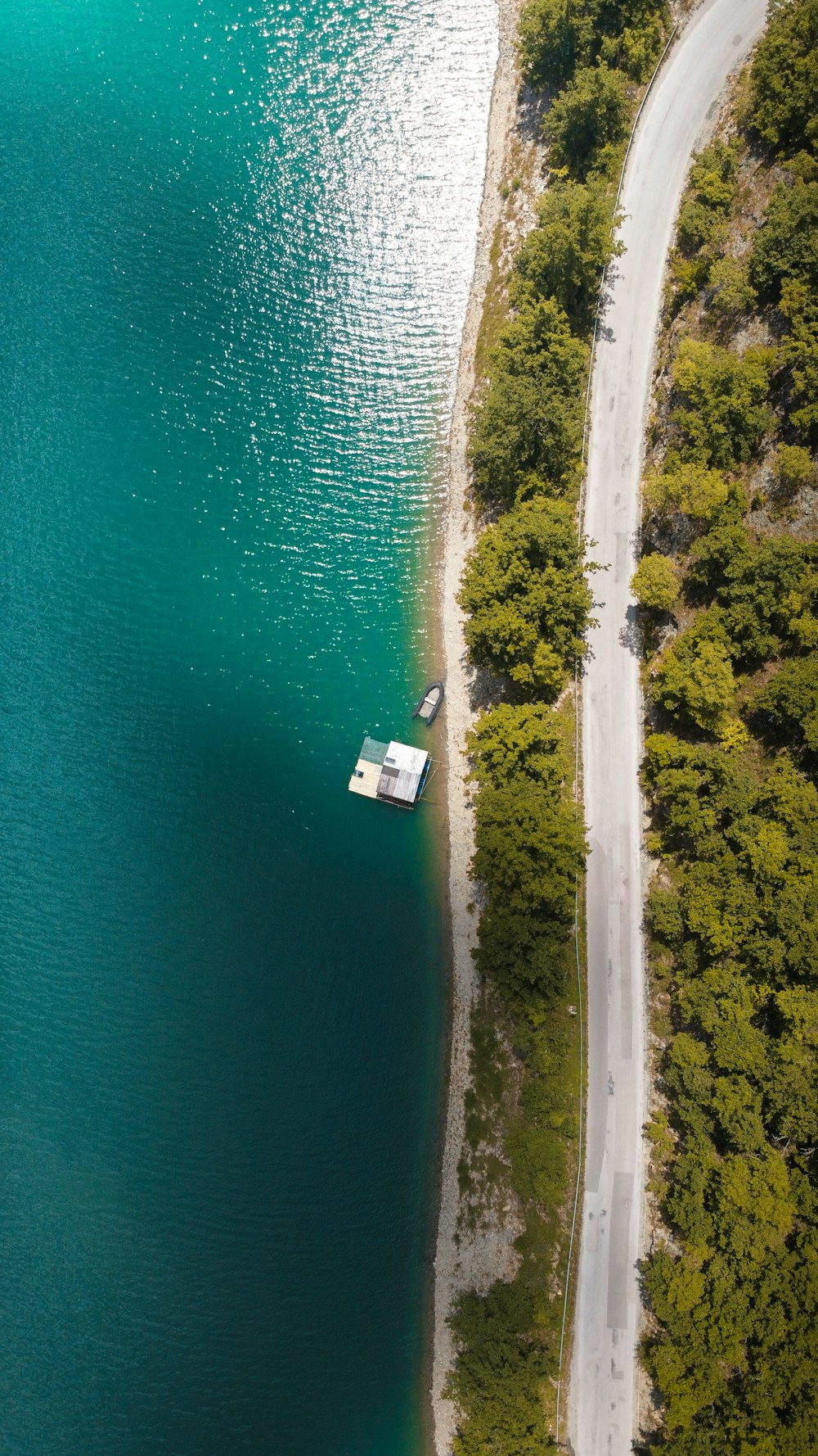 aerial view of green trees beside body of water during daytime