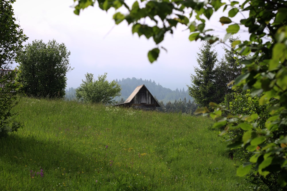 brown wooden house on green grass field during daytime