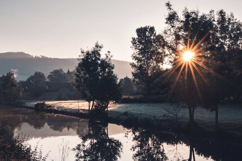 green trees beside body of water during daytime