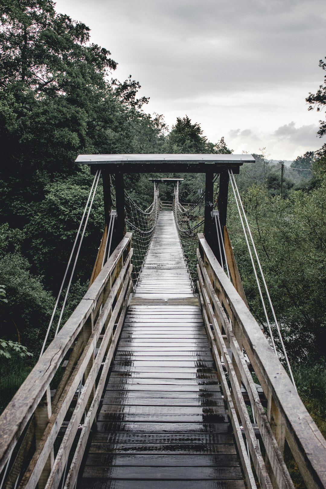 brown wooden bridge over green trees during daytime