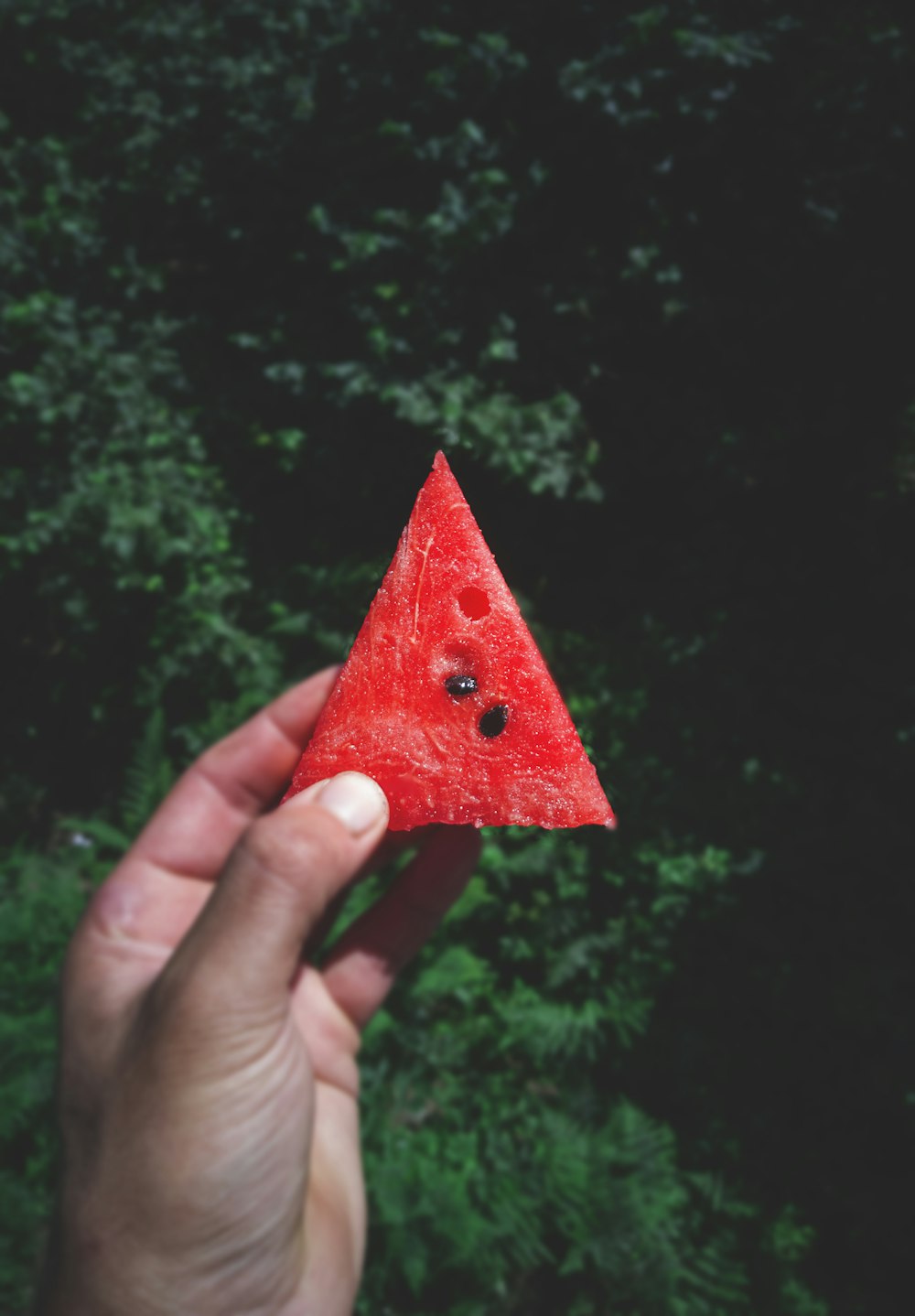 person holding red star ornament