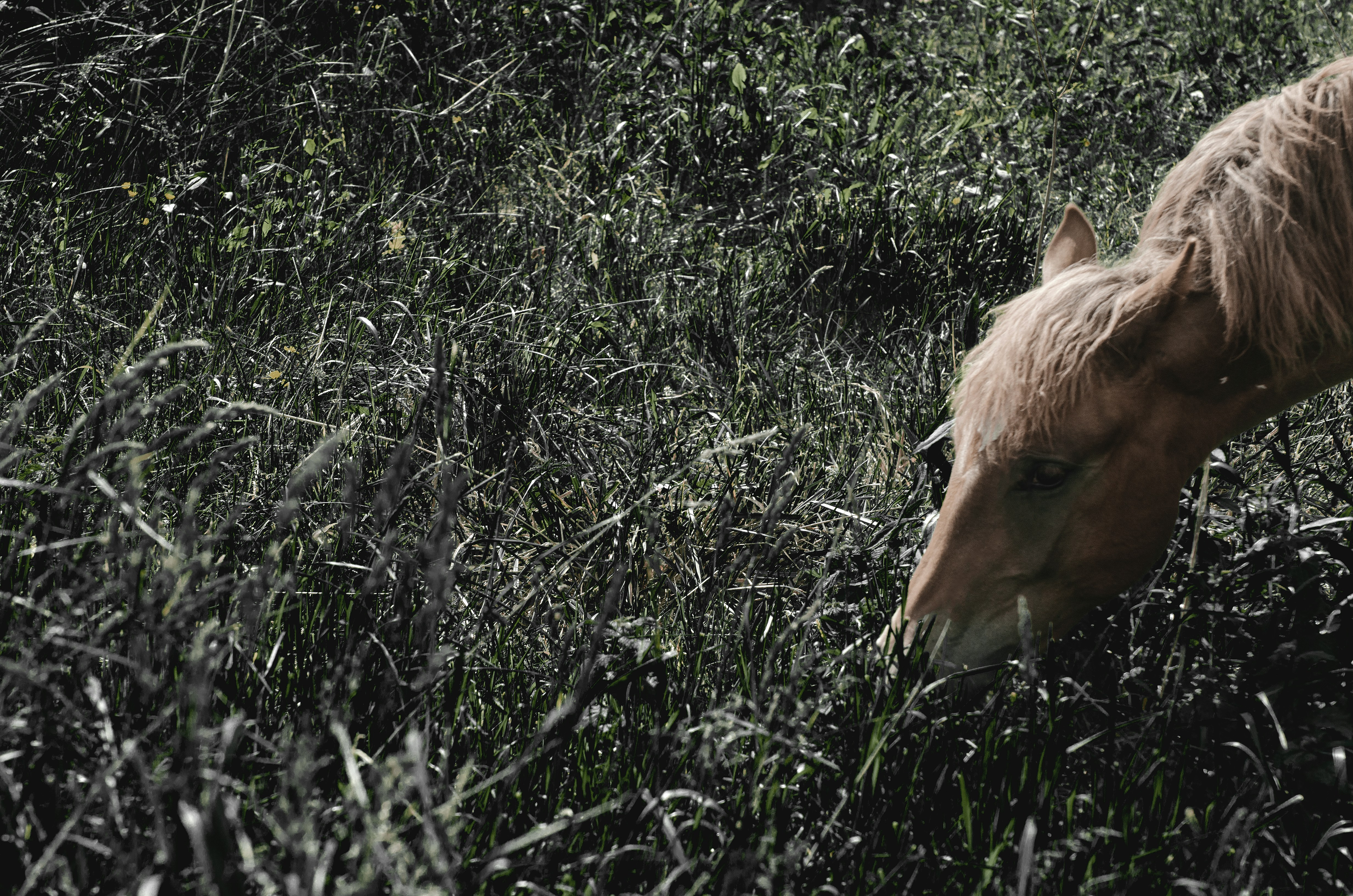 Photo by viktortalashuk