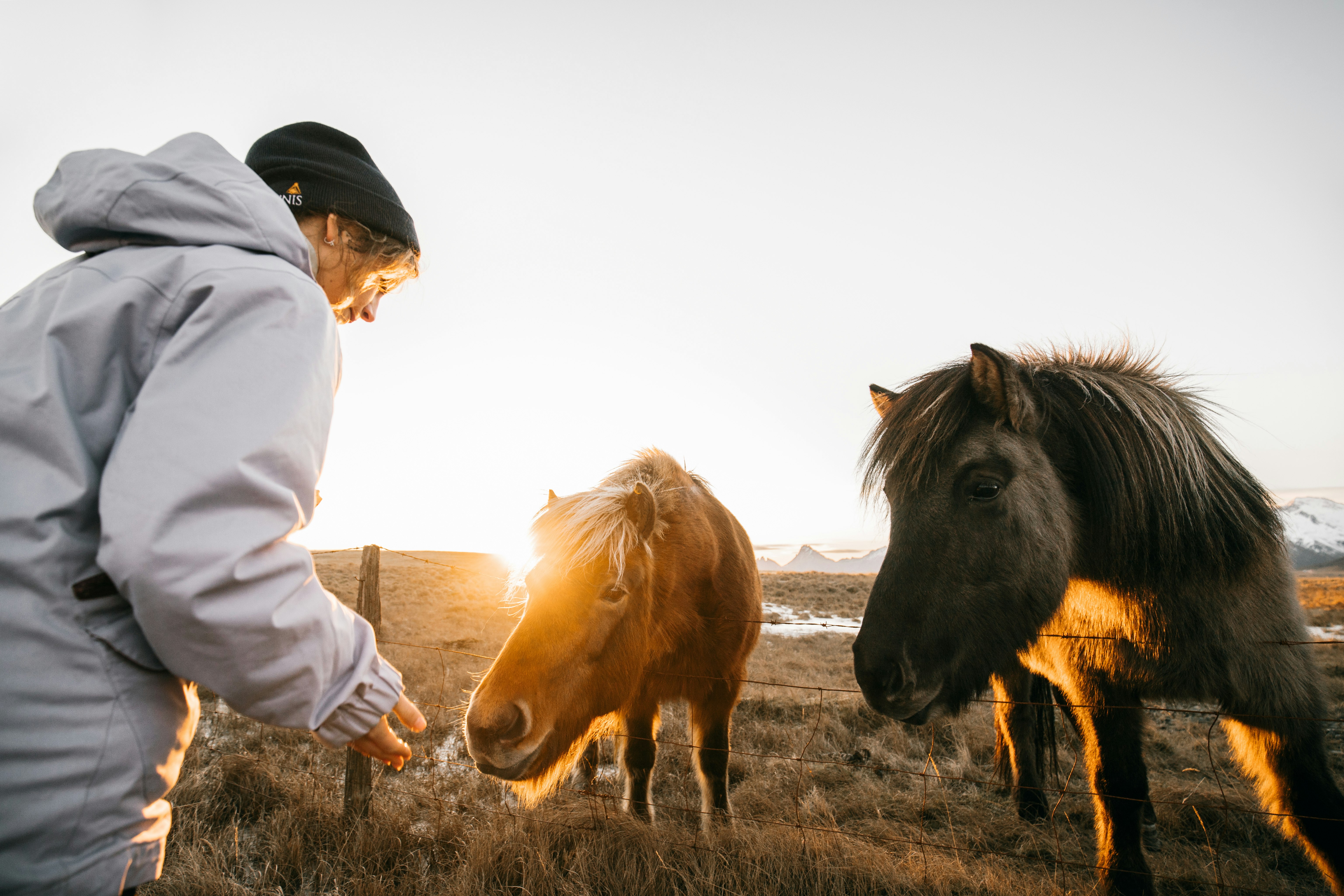 woman in beige coat standing beside brown horse during daytime