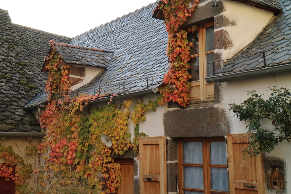 brown wooden door with orange and green leaves on top