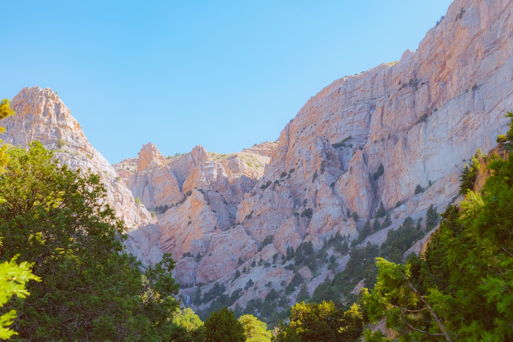 Alberi verdi vicino alla montagna rocciosa durante il giorno