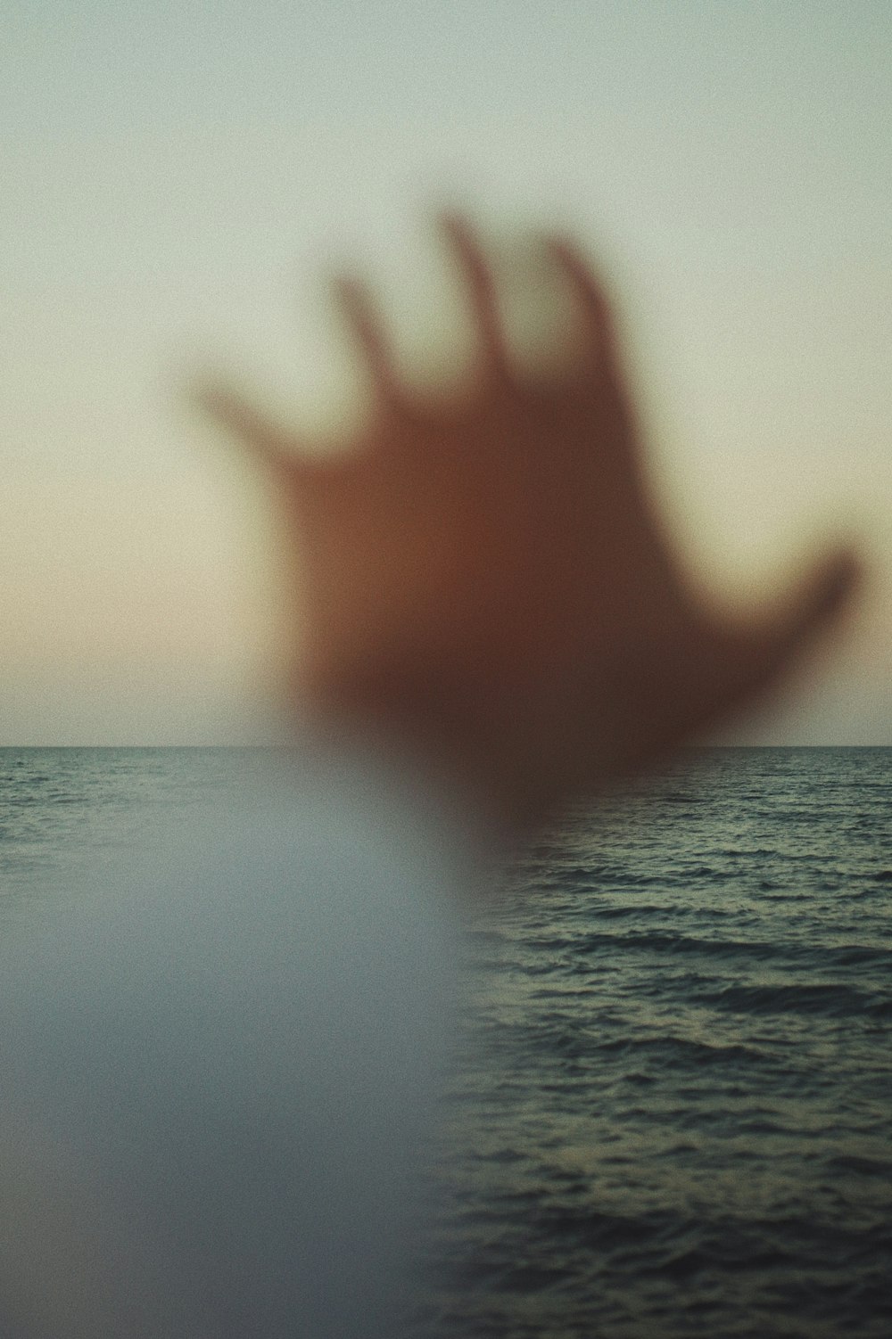 persons hand on body of water during daytime