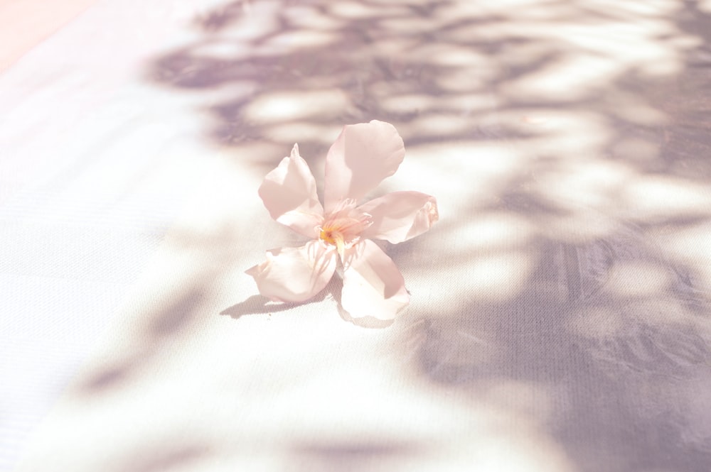 white flower on white textile