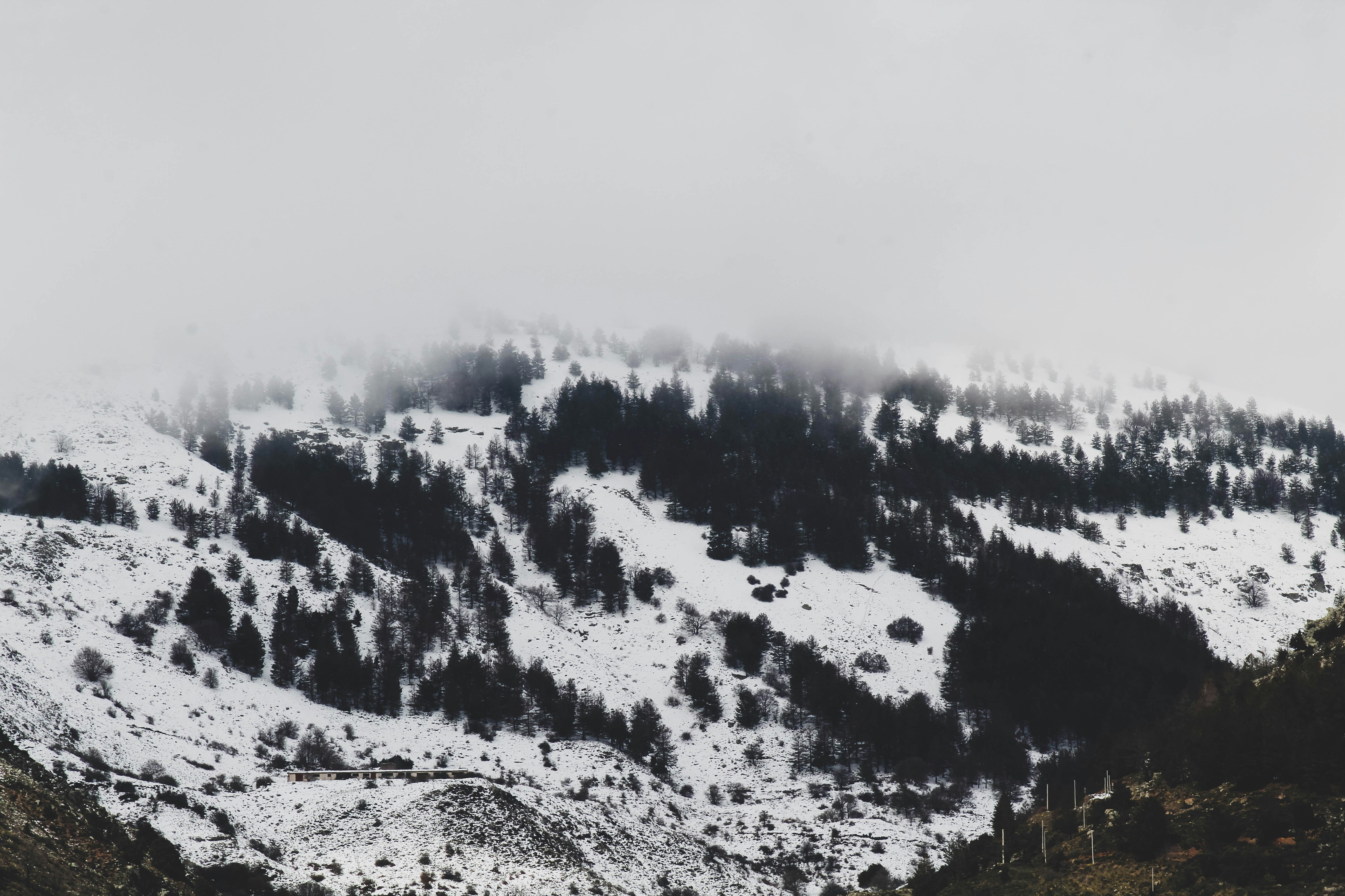 Photo by calabron1997